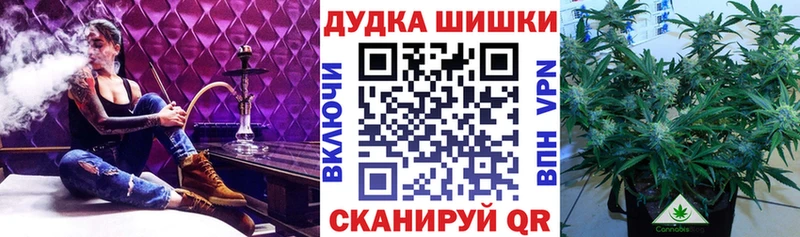 Бошки Шишки индика Апшеронск